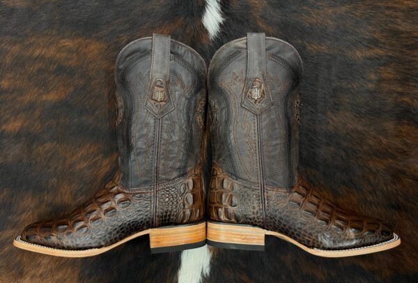 HLMC CHOCOLATE CROCODILE BACK