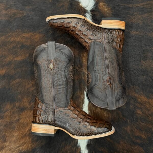 HLMC CHOCOLATE CROCODILE BACK