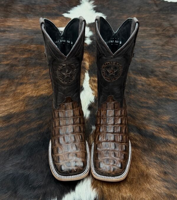 HLMC CHOCOLATE CROCODILE BACK