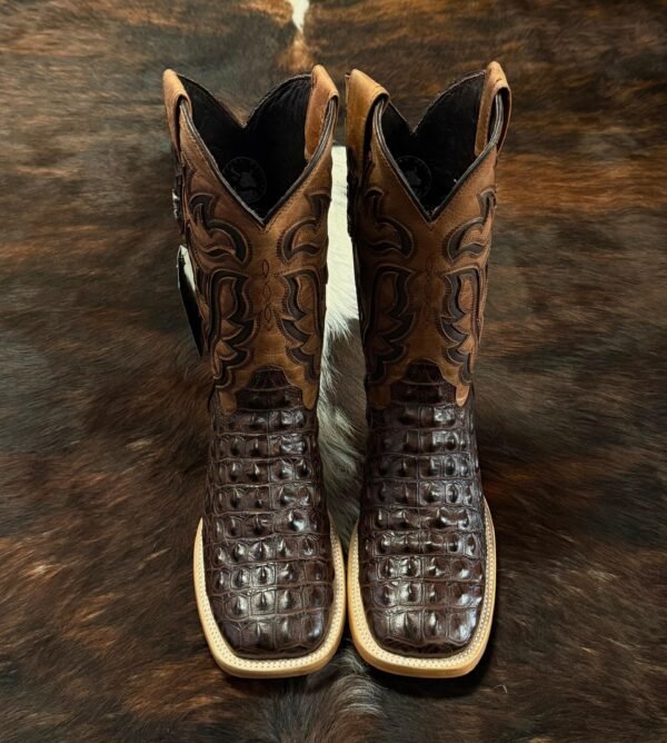 fb672be1-320f-4bee-aca0-8f8ff44383df BHB BRUCE HORNBACK BROWN