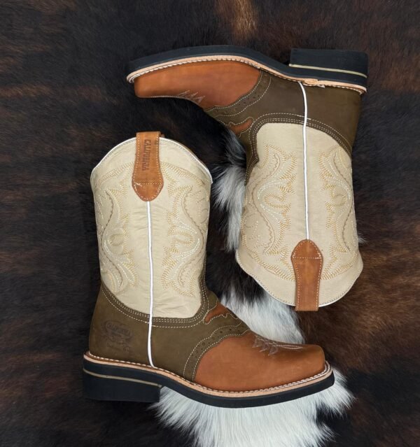 CSH CRAZY SHEDRON HULE