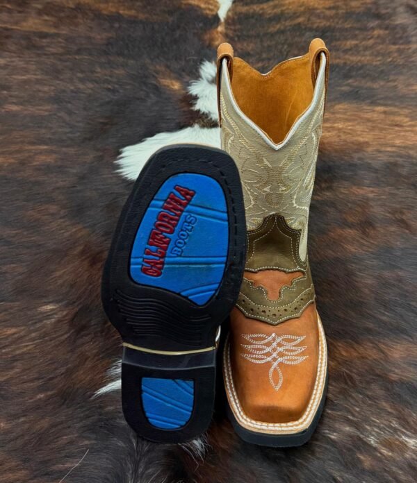 CSH CRAZY SHEDRON HULE