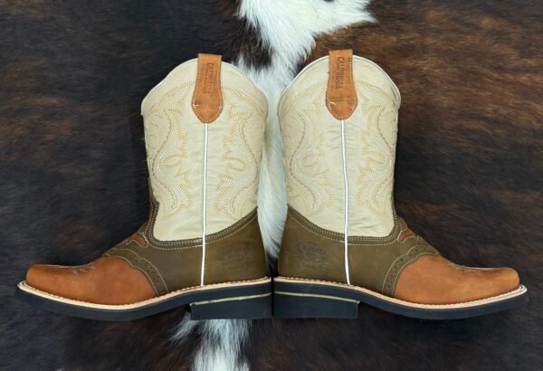 CSH CRAZY SHEDRON HULE