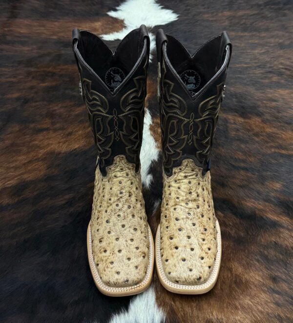 IMG-20260330-WA0076 RBOO BRUCE OSTRICH ORIX