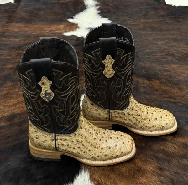 IMG-20260330-WA0077 RBOO BRUCE OSTRICH ORIX