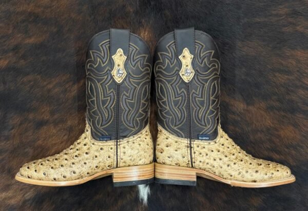 IMG-20260330-WA0080 RBOO BRUCE OSTRICH ORIX