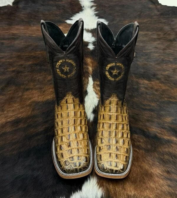 IMG-20260331-WA0031 HLMO MORELET CROCODILE HORNBACK ORIX