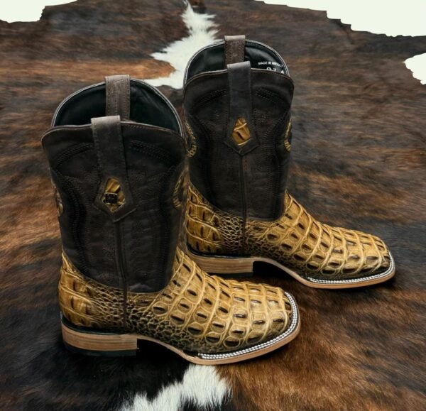 IMG-20260331-WA0032 HLMO MORELET CROCODILE HORNBACK ORIX