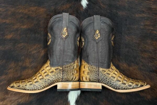 IMG-20260331-WA0035 HLMO MORELET CROCODILE HORNBACK ORIX