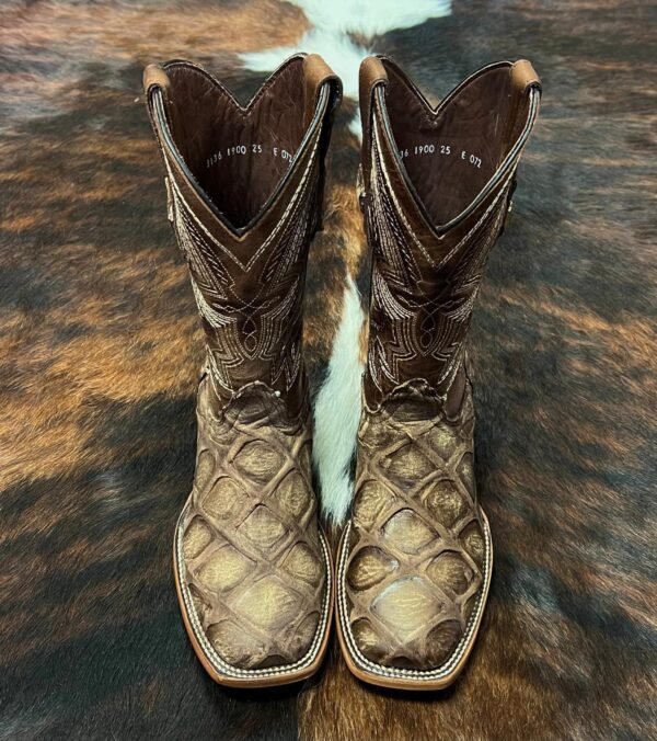 IMG-20260331-WA0046 HPJCR PIRARUCU JUMBO CAMEL RUSTIC