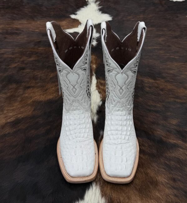 IMG-20260331-WA0101 HFB FUSCUS WHITE