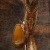 120a5bbb-28e9-4180-b3c5-6ec88cd122d9 RMAC Roca Miel Aguila Comp. Cherokee High-Knee Wildflower Bluebonnet Boots