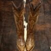 682f207d-ec0a-4bf9-9b39-62784538dc19 RMAC Roca Miel Aguila Comp. Cherokee High-Knee Wildflower Bluebonnet Boots